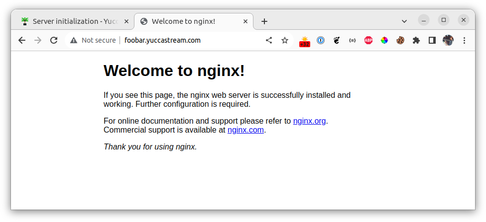 nginx2